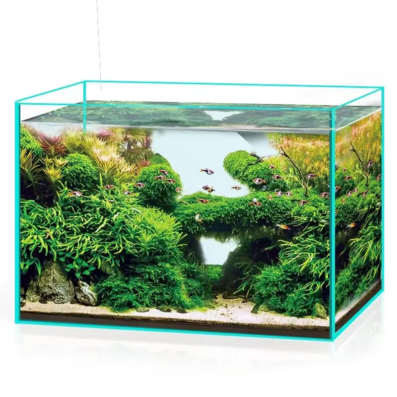 Aquarium Marine Clearwater - Acquario in Vetro Ultra Trasparente per