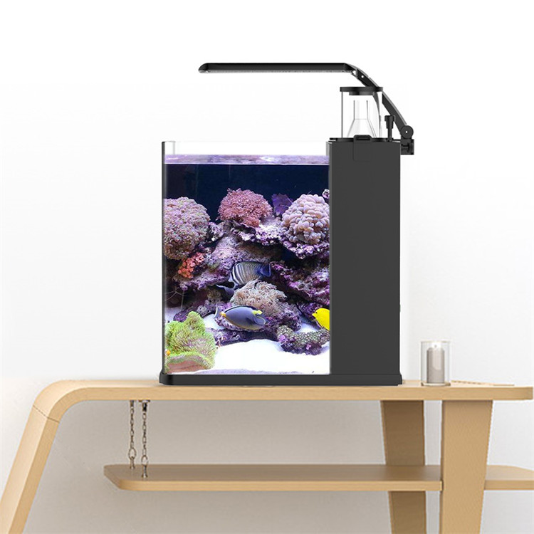 Aquarium Marine Clearwater - Skynuo Mini Acquario Marino in Vetro