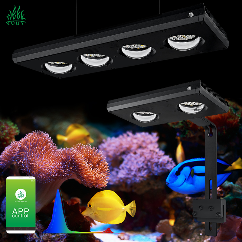 Aquarium Blue Marine - ZXY Vendita Calda WEEKAQUA Z250 Z400sea