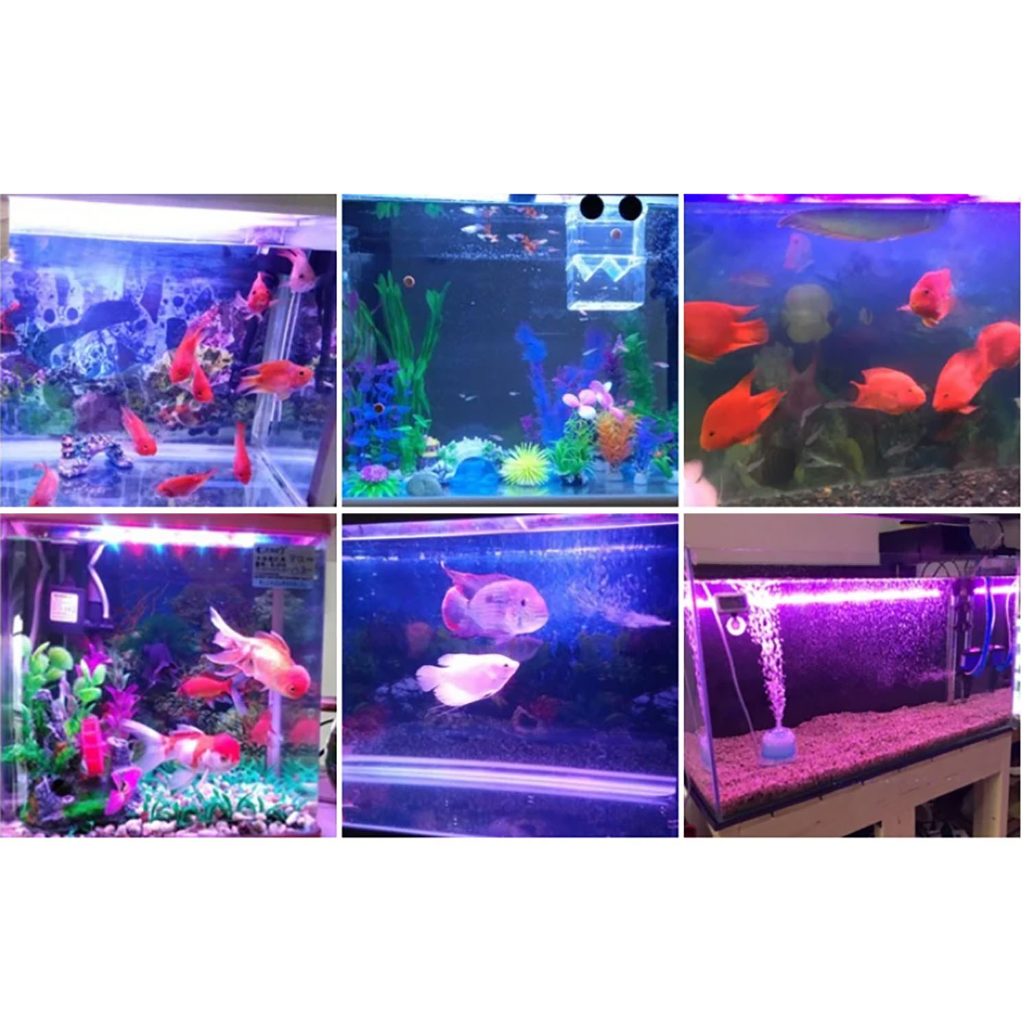 Aquarium Blue Marine - Illuminazione LED per Acquario Marino 50W