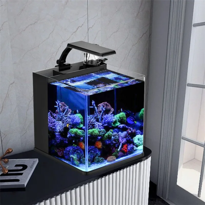 Aquarium Marine Clearwater - Acquario Marino in Vetro Ultra Trasparente