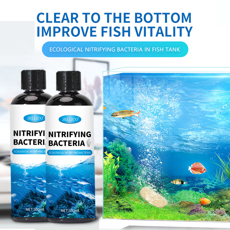 Aquarium Marine Clearwater - Purificatore d'Acqua per Acquario con Batteri