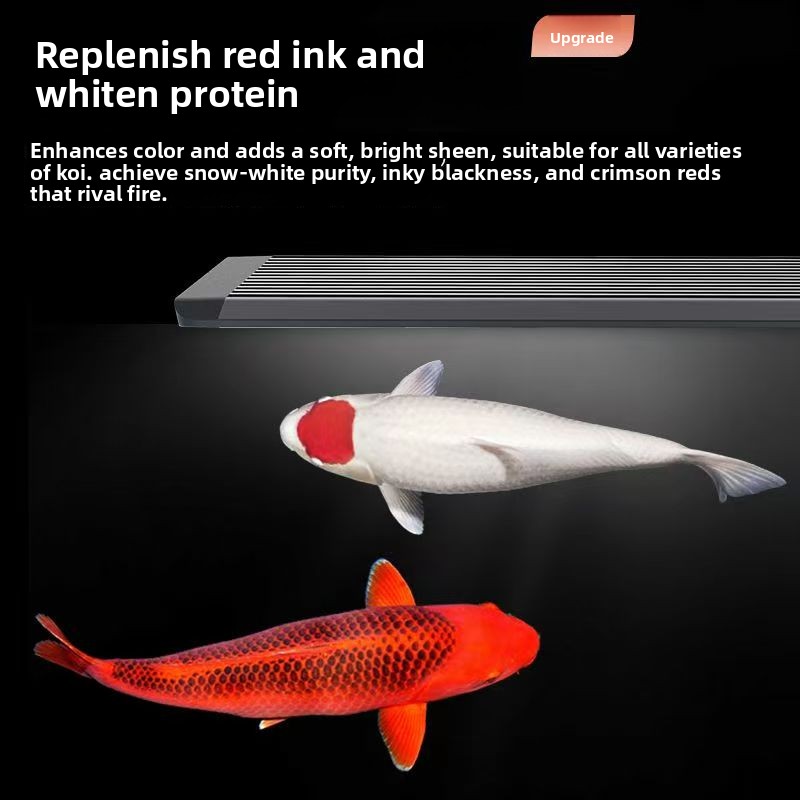 Aquarium Marine Clearwater - Lampada LED per Acquario con Sistema