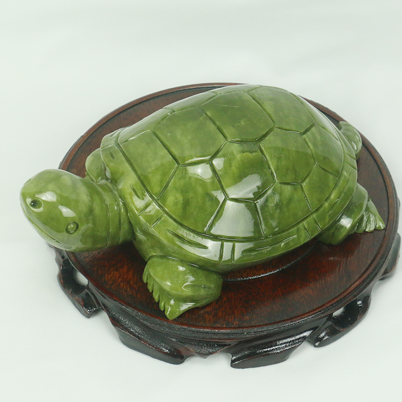 Giada naturale/scultura di tar - Marine Aquarium For Sale recensione e prezzo