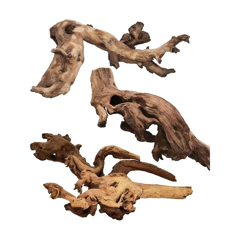 Legno Naturale per Decorazione - Marine Aquarium For Sale recensione e prezzo