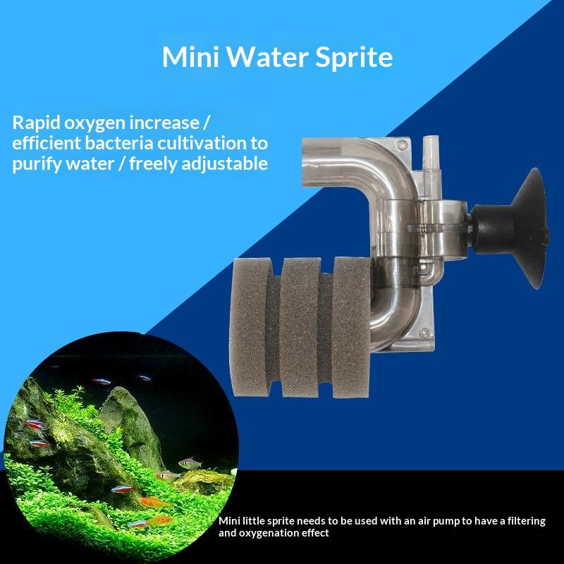 Offerta Speciale - Mini Filtro - Marine Aquarium For Sale recensione e prezzo