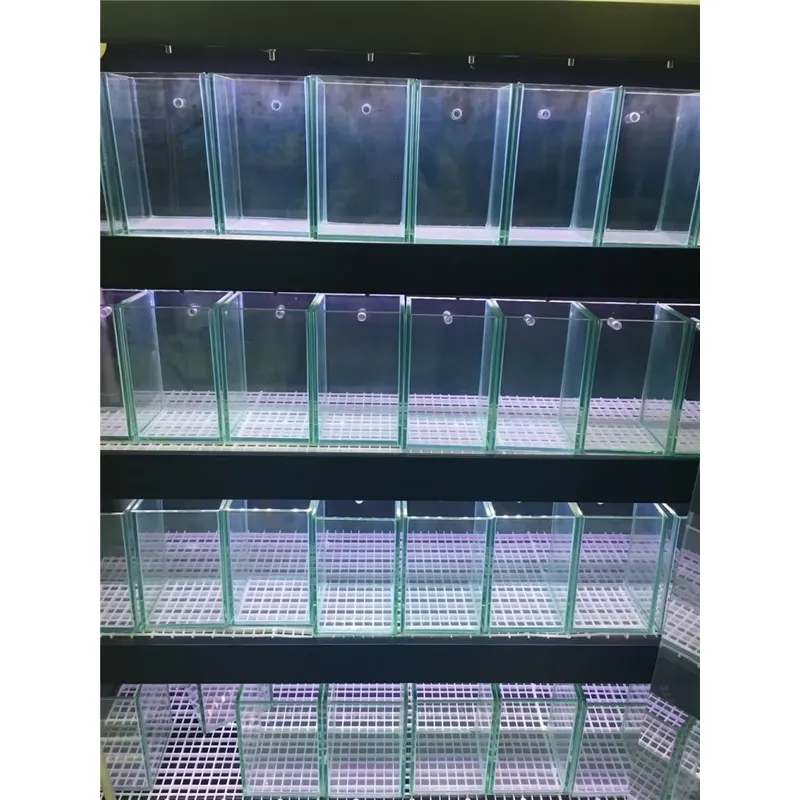 Acquario in Vetro Ultra Traspa - Aquarium Marine Clearwater recensione e prezzo