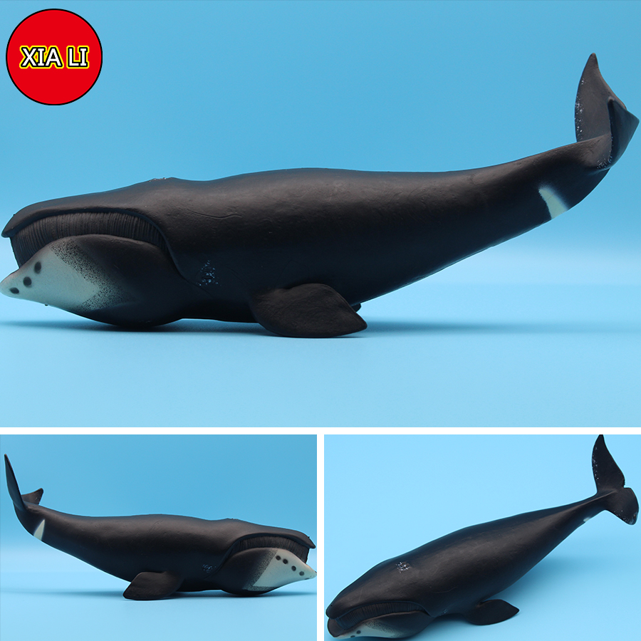 Modellini di Animali Marini: O - Aquarium Blue Marine recensione e prezzo