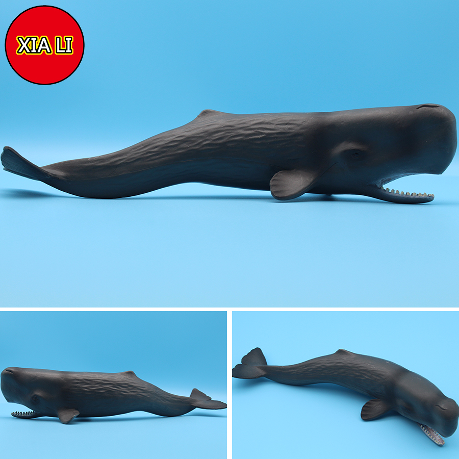 Modellini di Animali Marini: O - Aquarium Blue Marine recensione e prezzo