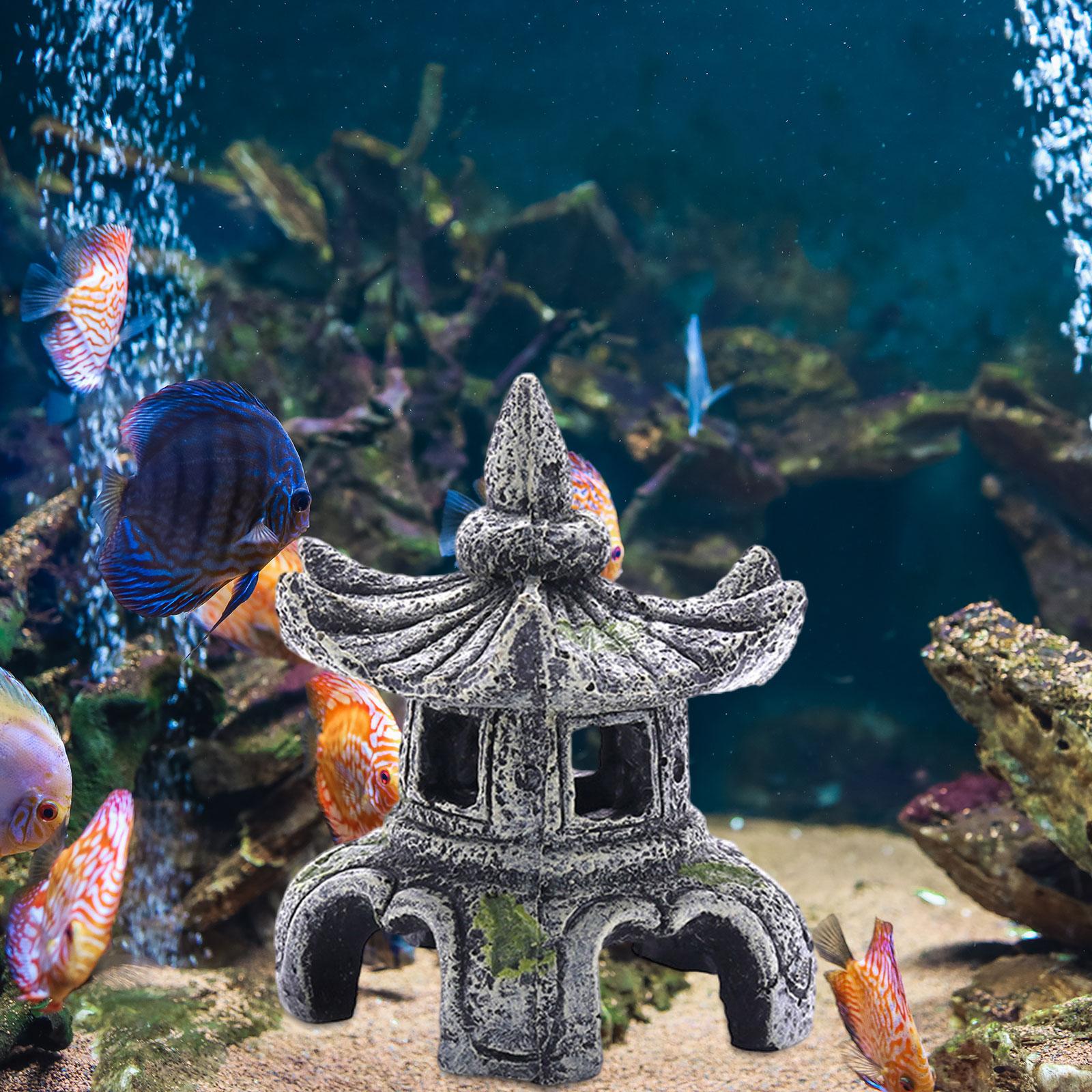 Ornamento per acquario Accesso - Marine Aquarium For Sale recensione e prezzo