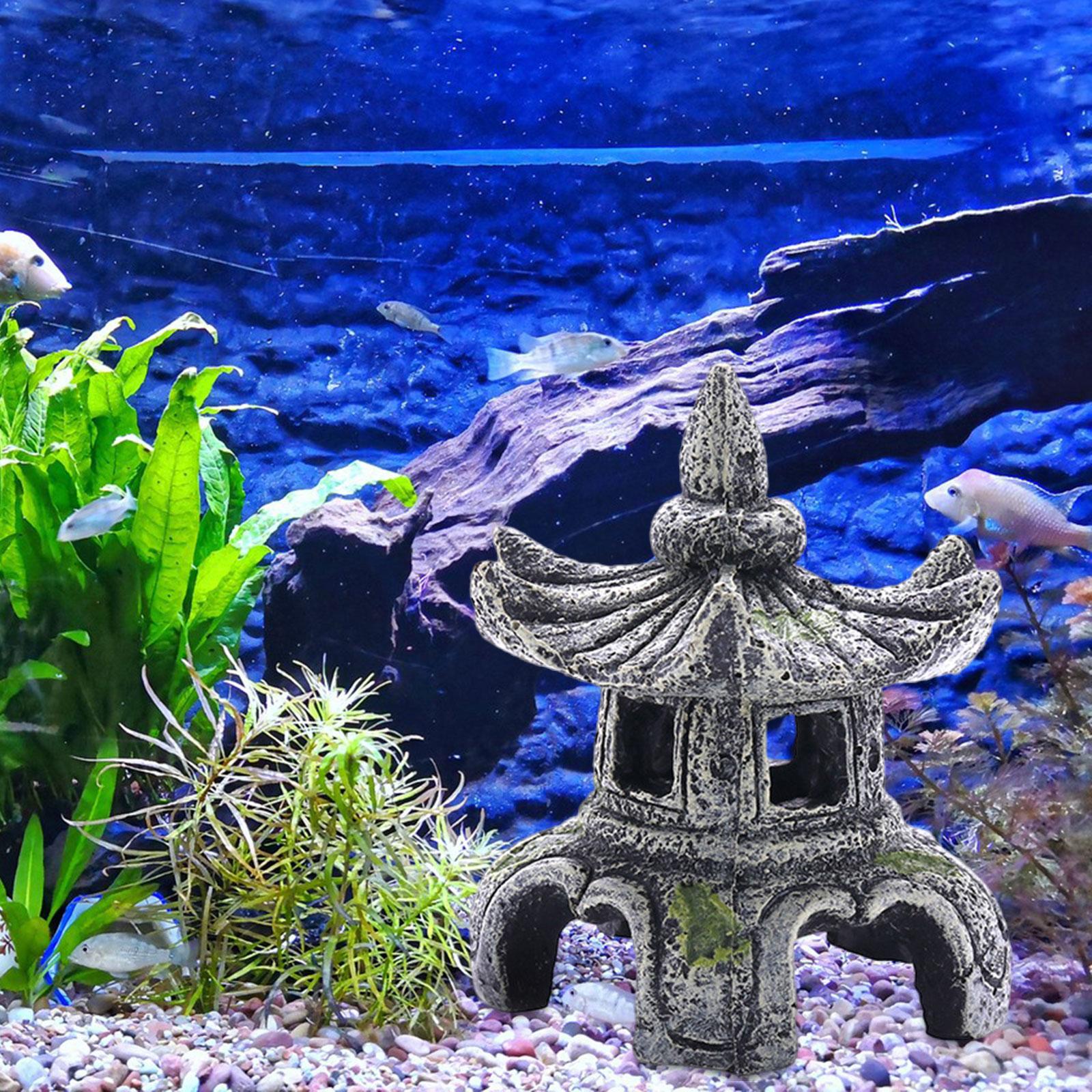 Ornamento per acquario Accesso - Marine Aquarium For Sale recensione e prezzo