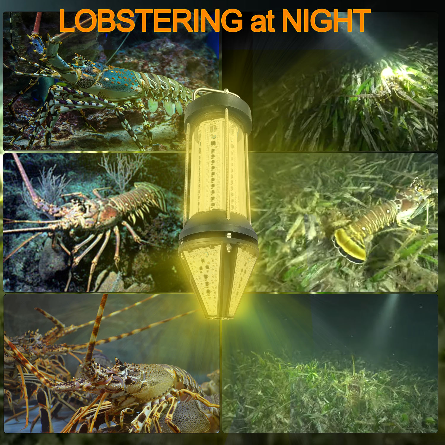 Luce Subacquea Verde Blu Bianc - Aquarium Blue Marine recensione e prezzo