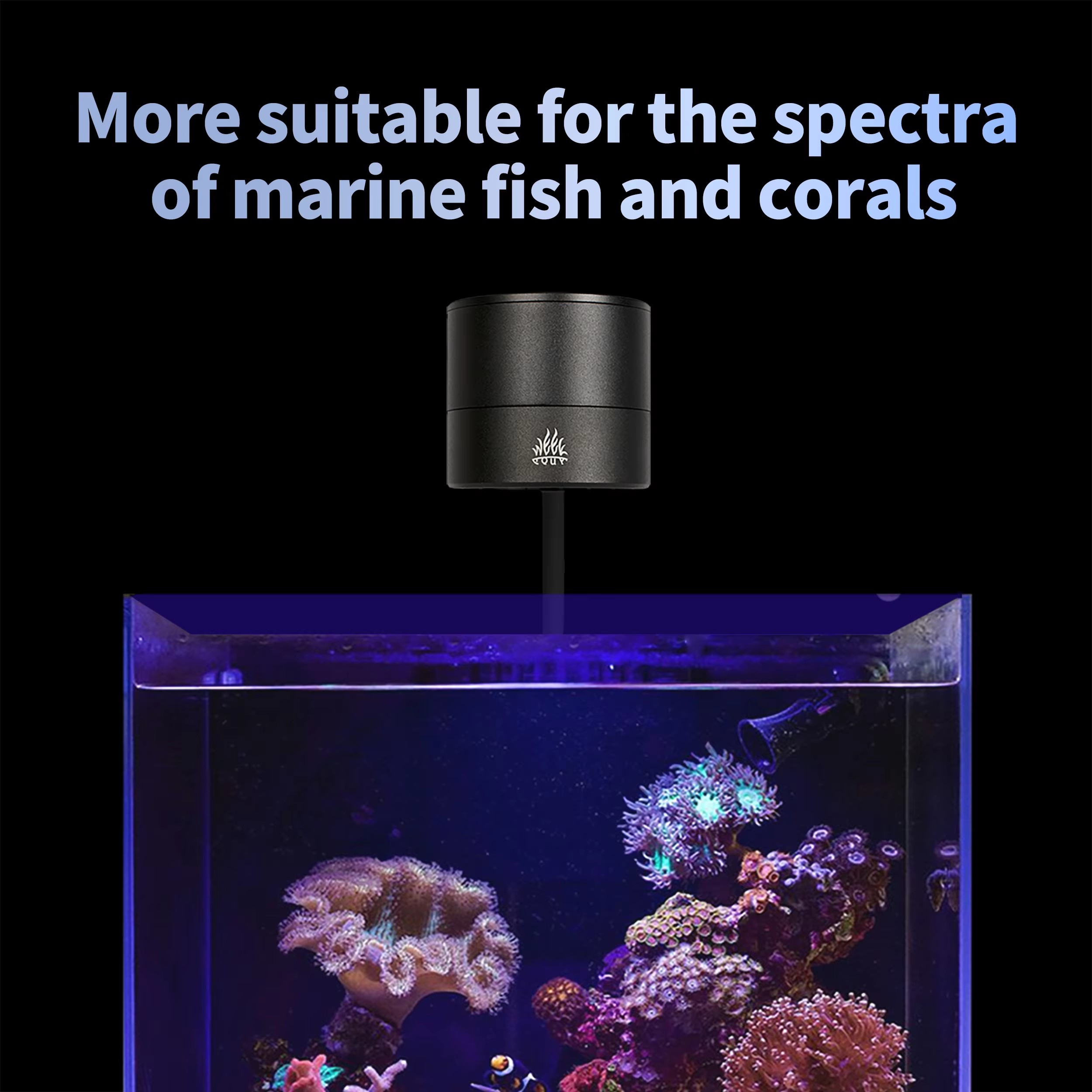 Lampada LED WEEK AQUA per Acqu - Aquarium Blue Marine recensione e prezzo