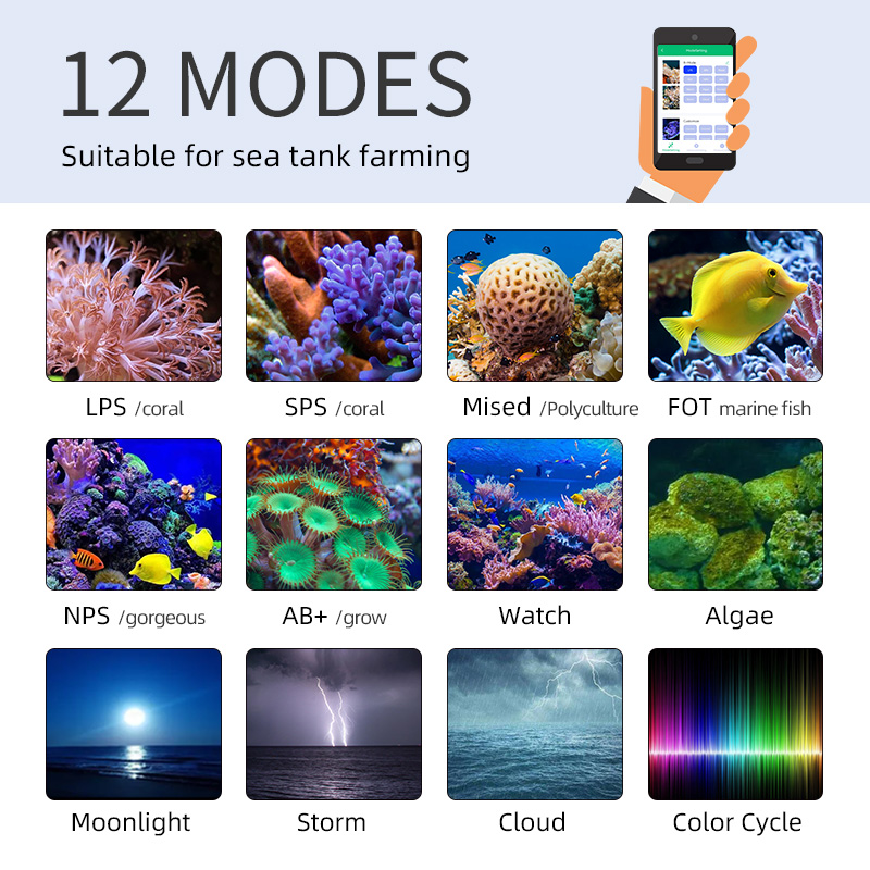 ZXY Vendita Calda WEEKAQUA Z25 - Aquarium Blue Marine recensione e prezzo