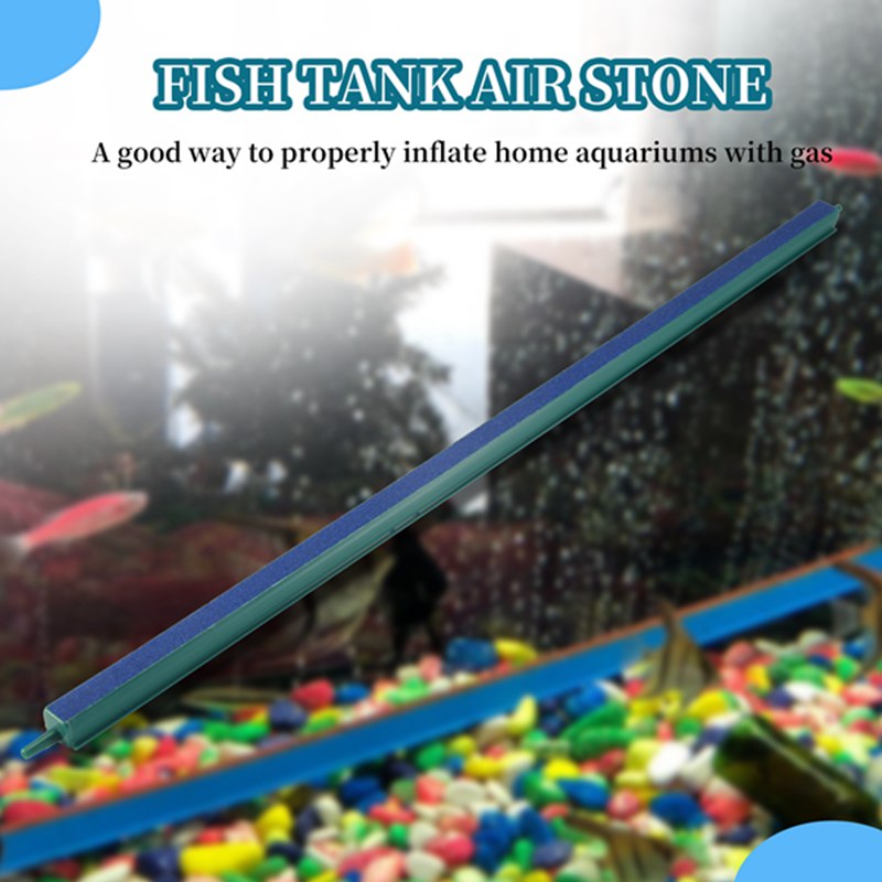 Pietra porosa per acquario da  - Aquarium & Marine Museum recensione e prezzo