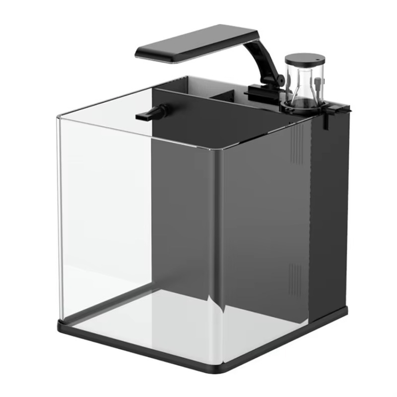 Mini acquario marino in vetro  - Aquarium Marine Clearwater recensione e prezzo