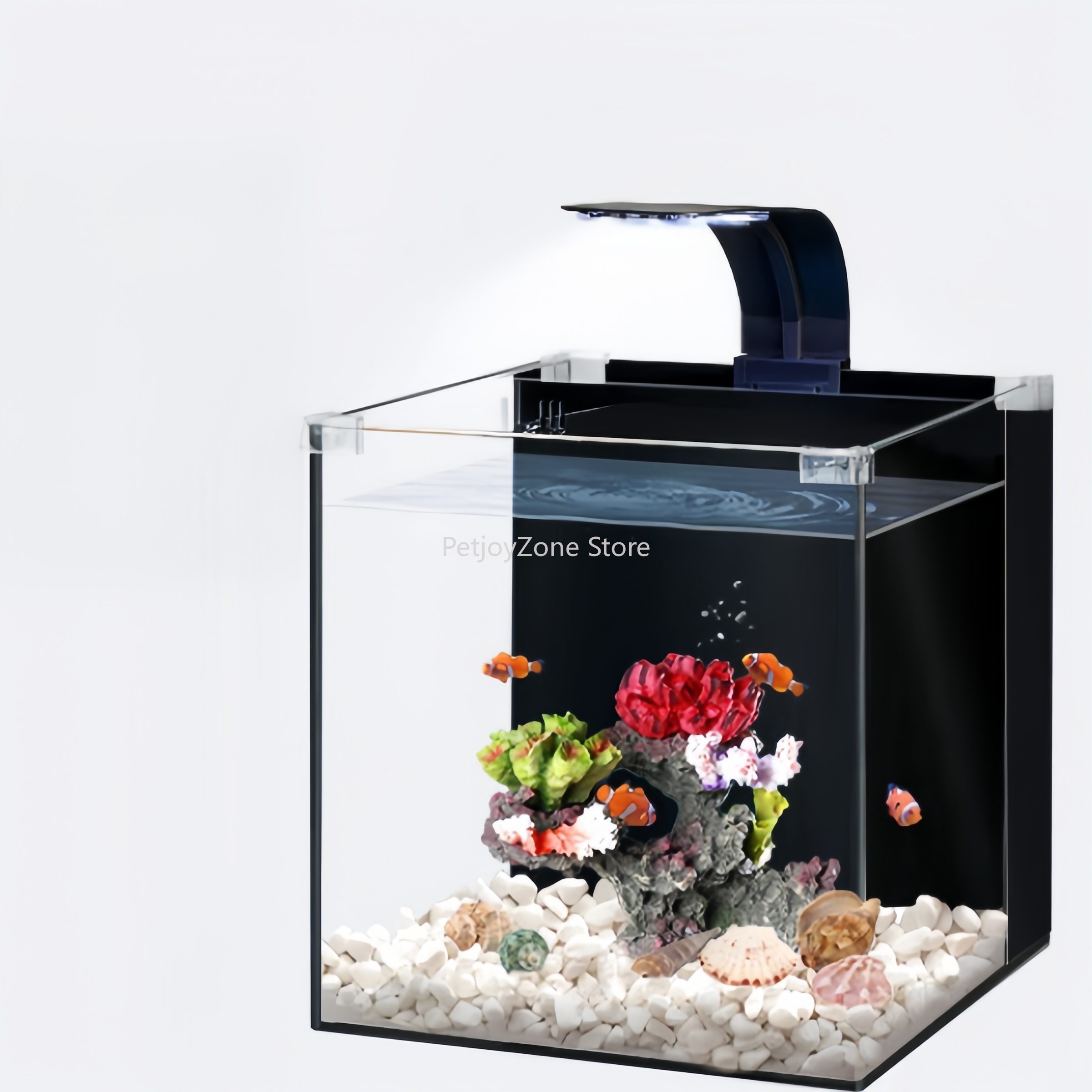 Acquario marino di lusso in ve - Aquarium Marine Clearwater recensione e prezzo