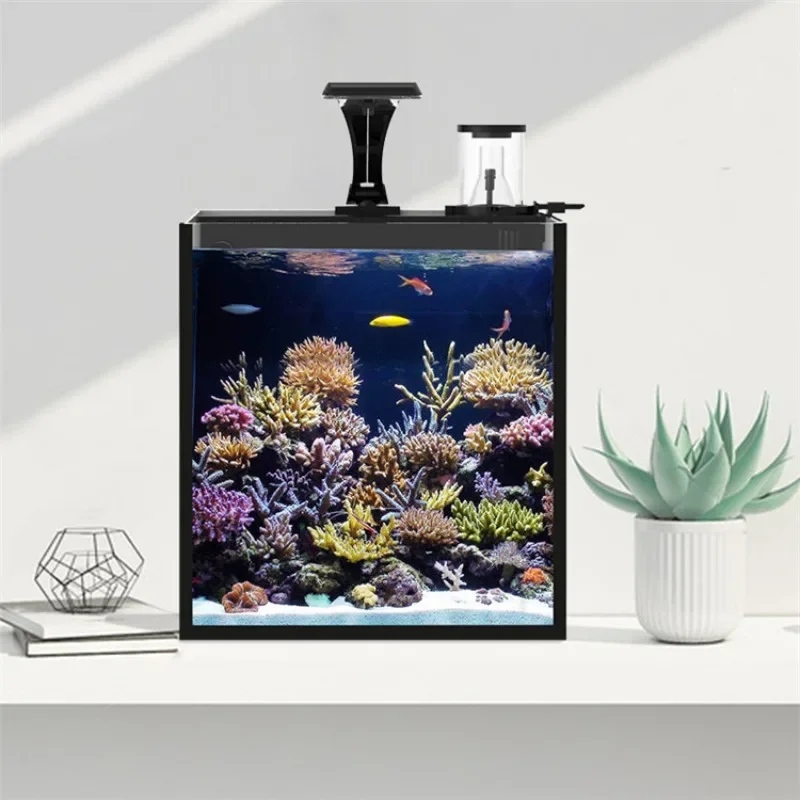 Acquario Marino in Vetro Ultra - Aquarium Marine Clearwater recensione e prezzo
