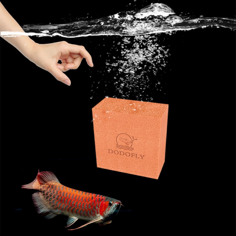 Filtro Biologico 5D per Acquar - Aquarium Marine Clearwater recensione e prezzo