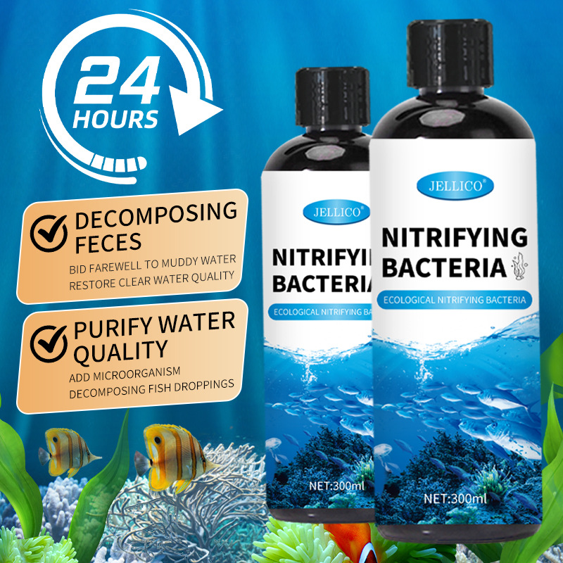 Purificatore d'Acqua per Acqua - Aquarium Marine Clearwater recensione e prezzo
