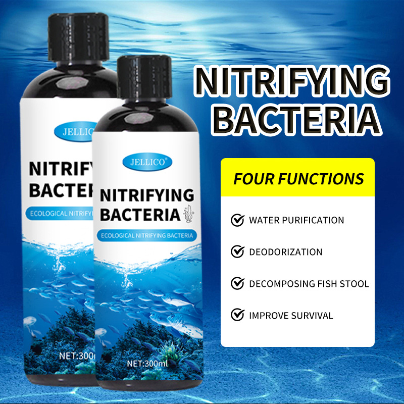 Purificatore d'Acqua per Acqua - Aquarium Marine Clearwater recensione e prezzo