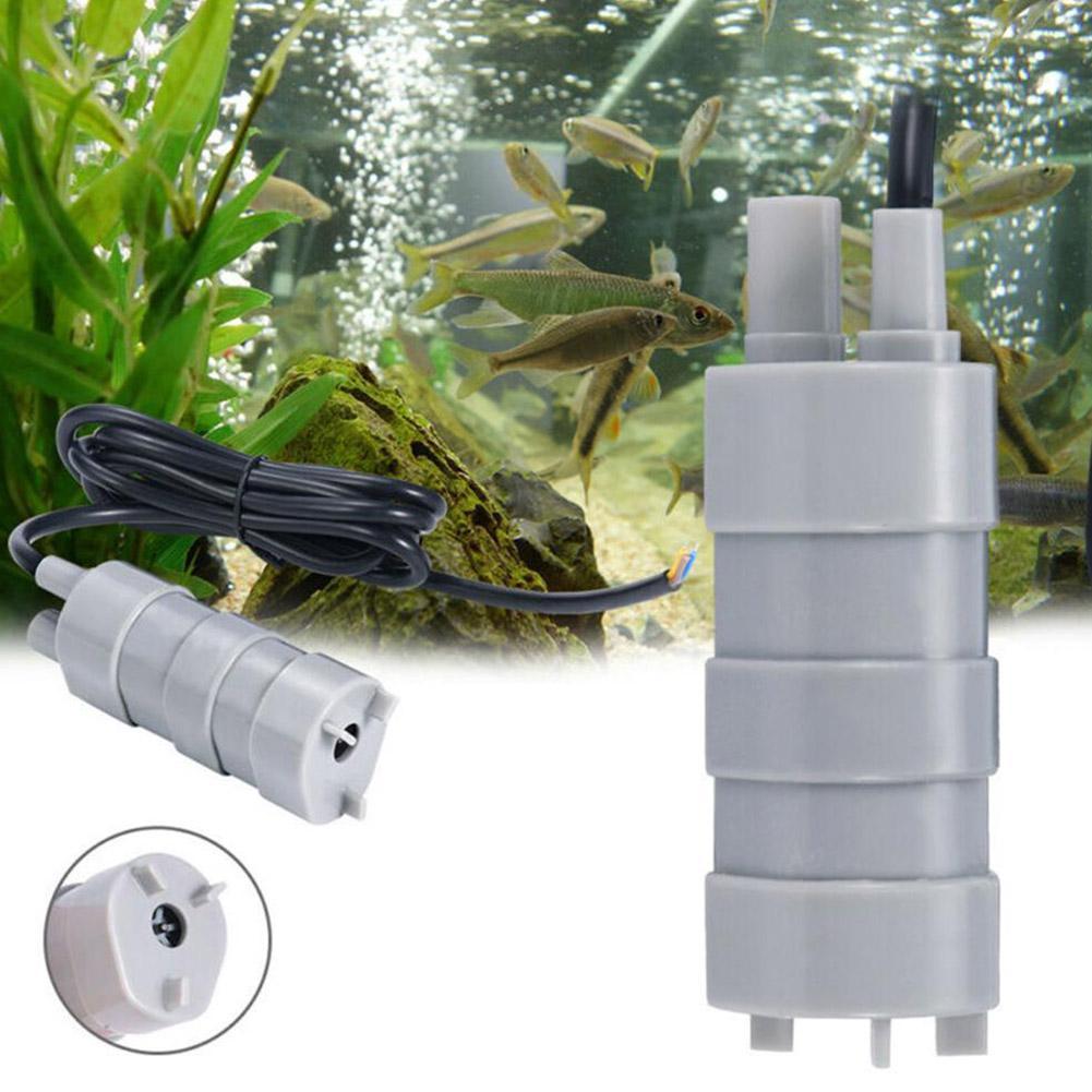 Pompa sommergibile per camper  - Aquarium & Marine Museum recensione e prezzo