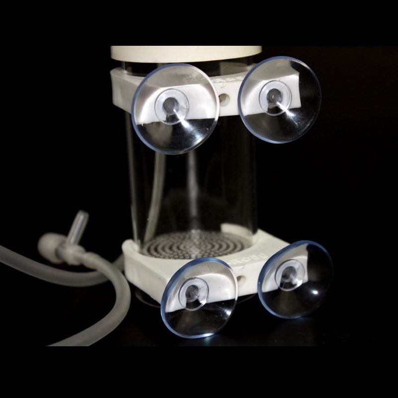 Incubatrice per Uova di Ciclid - Aquarium & Marine Museum recensione e prezzo