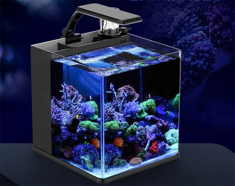 Mini Acquario Marino in Vetro  - Aquarium Marine Clearwater recensione e prezzo