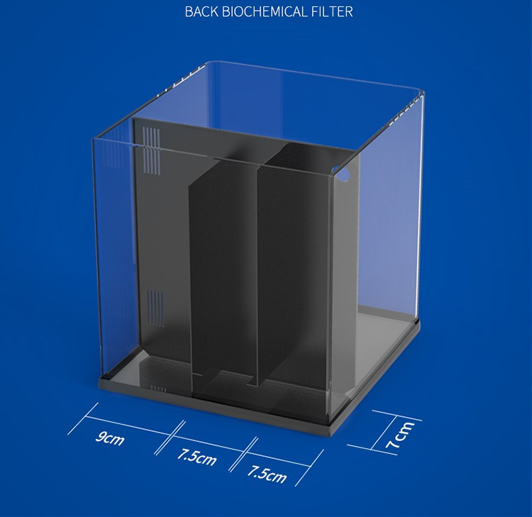 Mini Acquario Marino in Vetro  - Aquarium Marine Clearwater recensione e prezzo