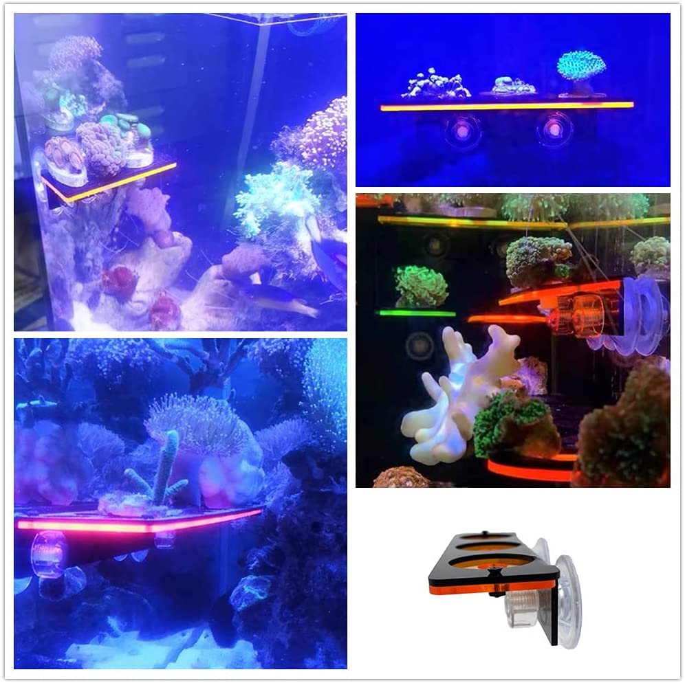 Staffa per tappo Frag in coral - Marine Aquarium For Sale recensione e prezzo