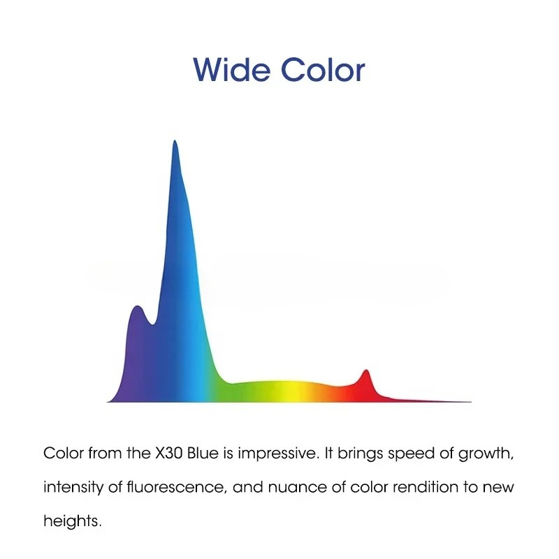 Commercio all'ingrosso X30 Blu - Aquarium Blue Marine recensione e prezzo